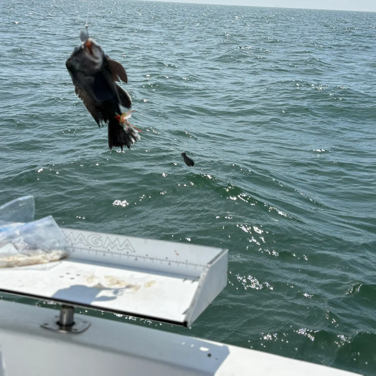 most liked catch image