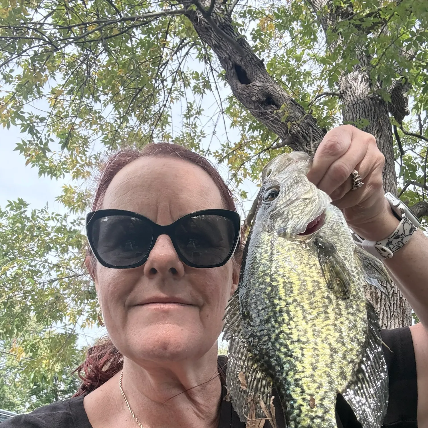 Black crappie caught on Fishbrain