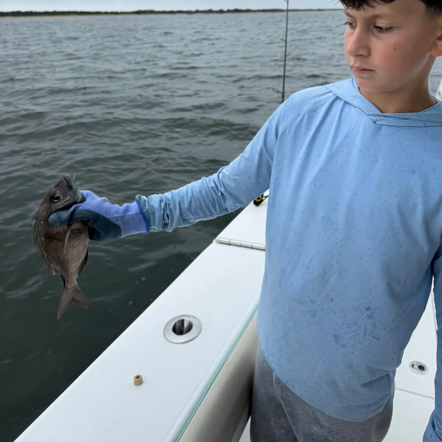 Scup caught on Fishbrain
