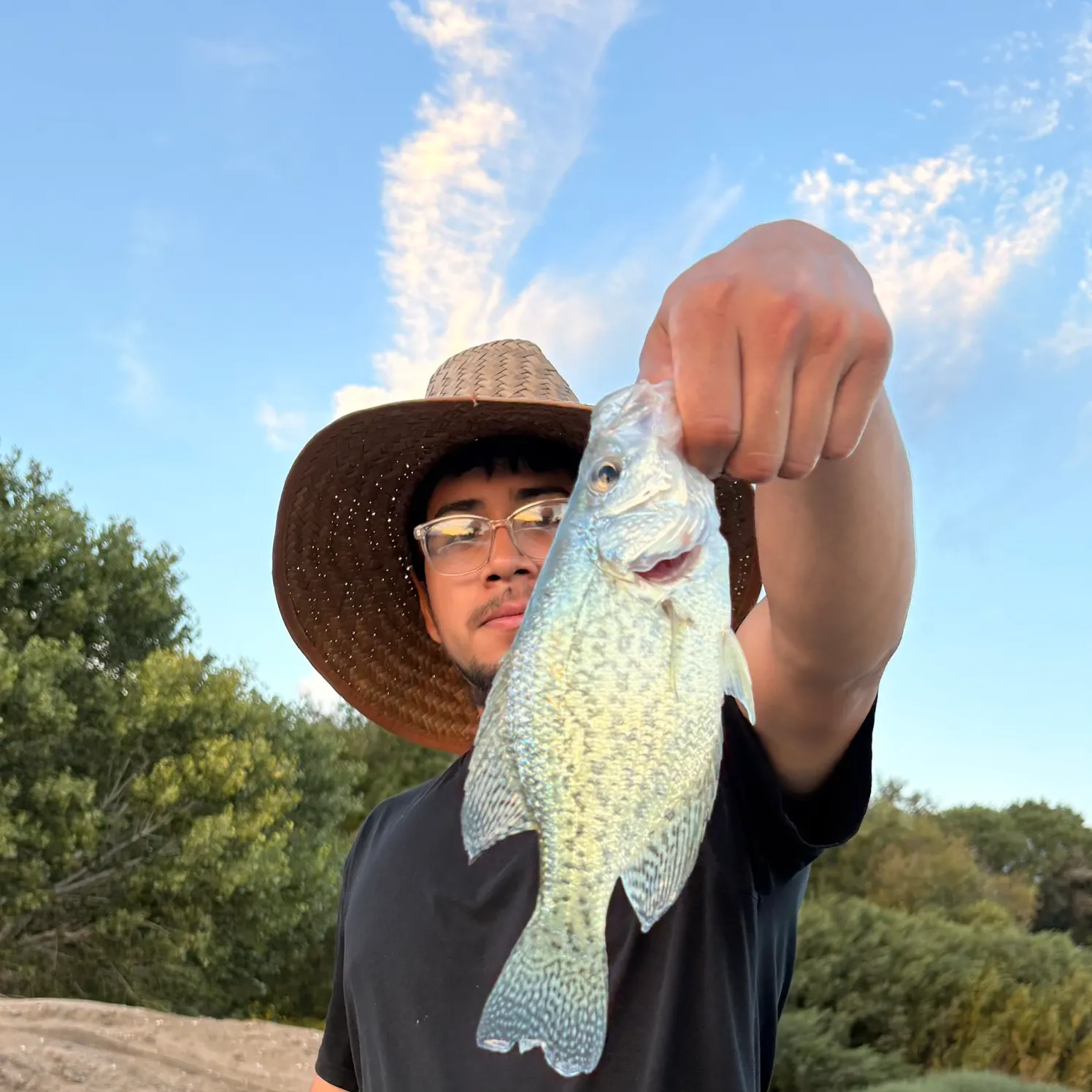 Black crappie caught on Fishbrain