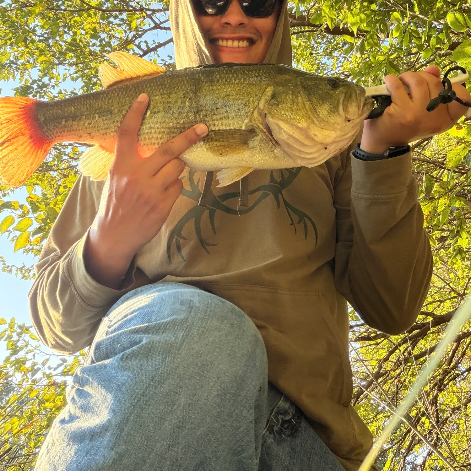 Largemouth bass caught on Fishbrain