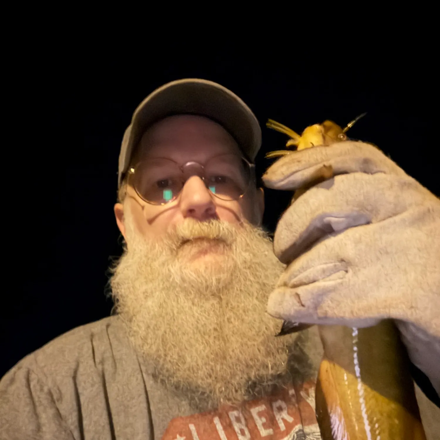 Yellow bullhead caught on Fishbrain