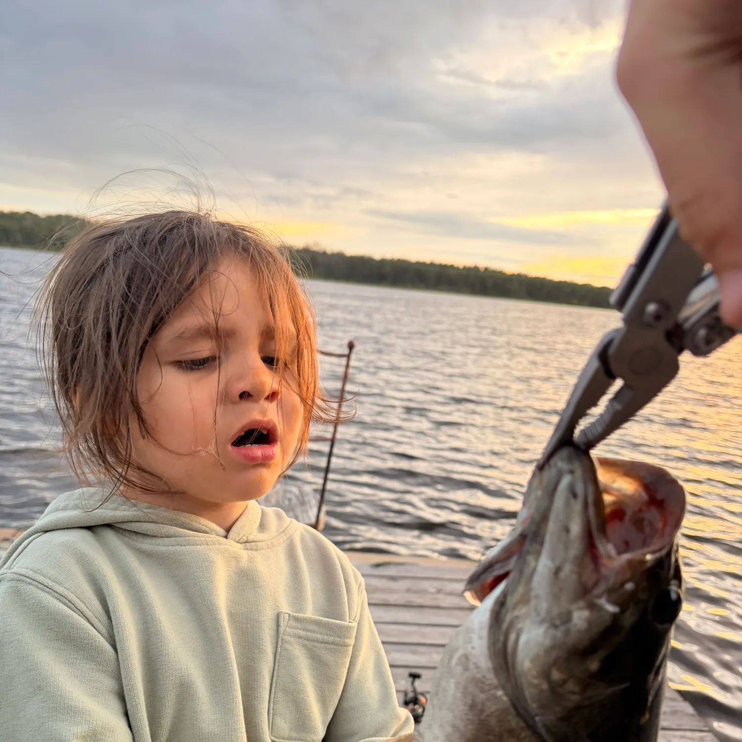 Smallmouth bass caught on Fishbrain