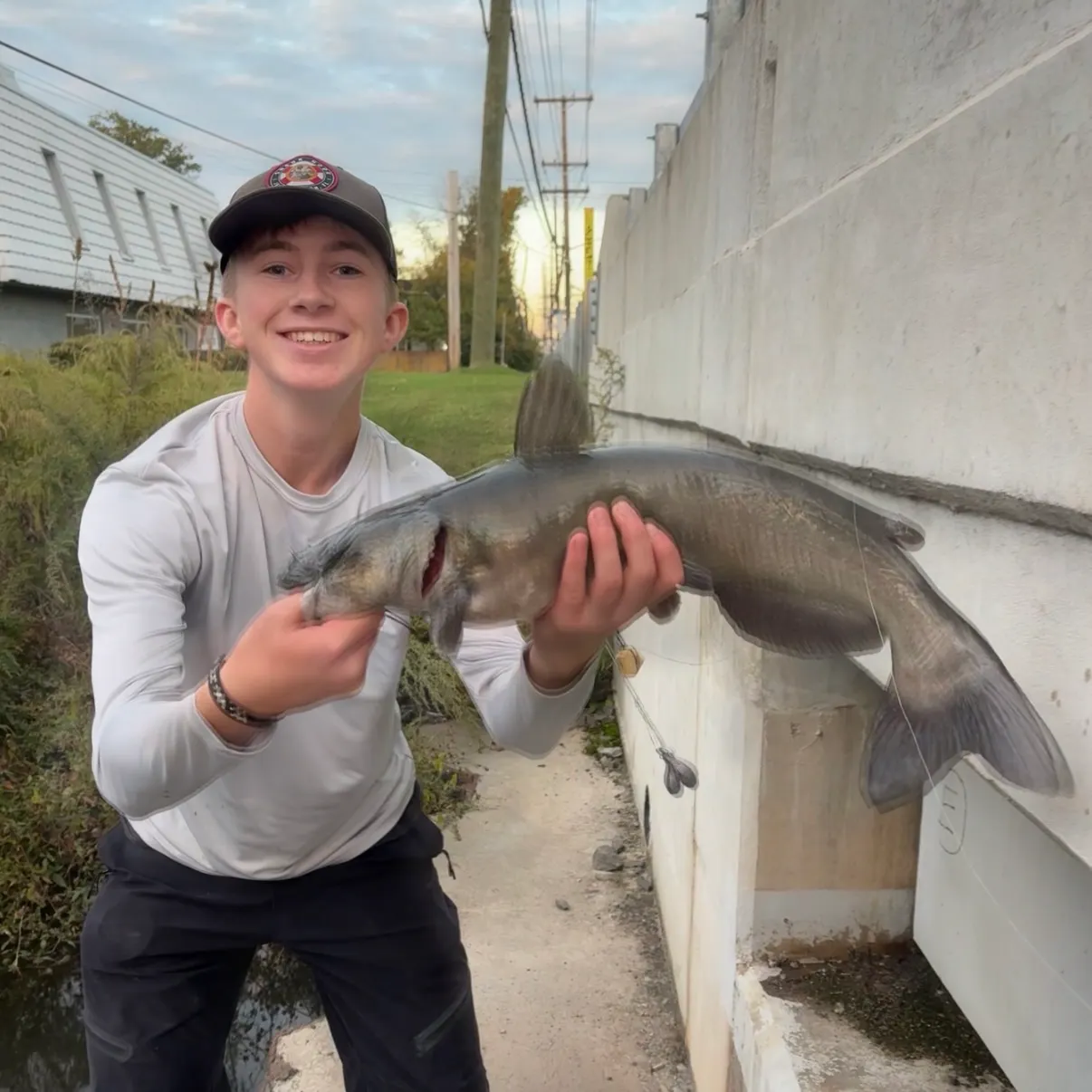 Channel catfish caught on Fishbrain