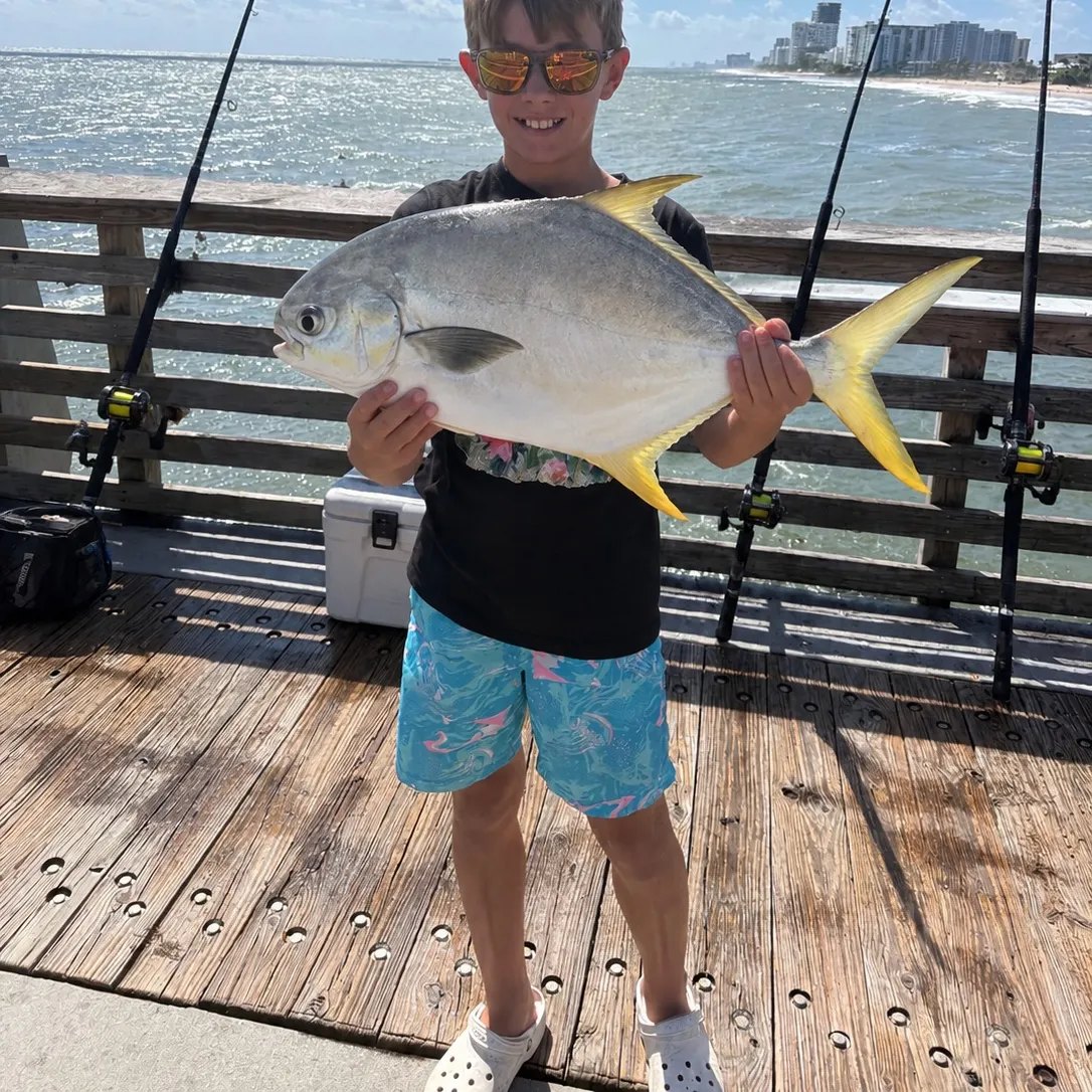 The most recent Florida pompano catches on Fishbrain