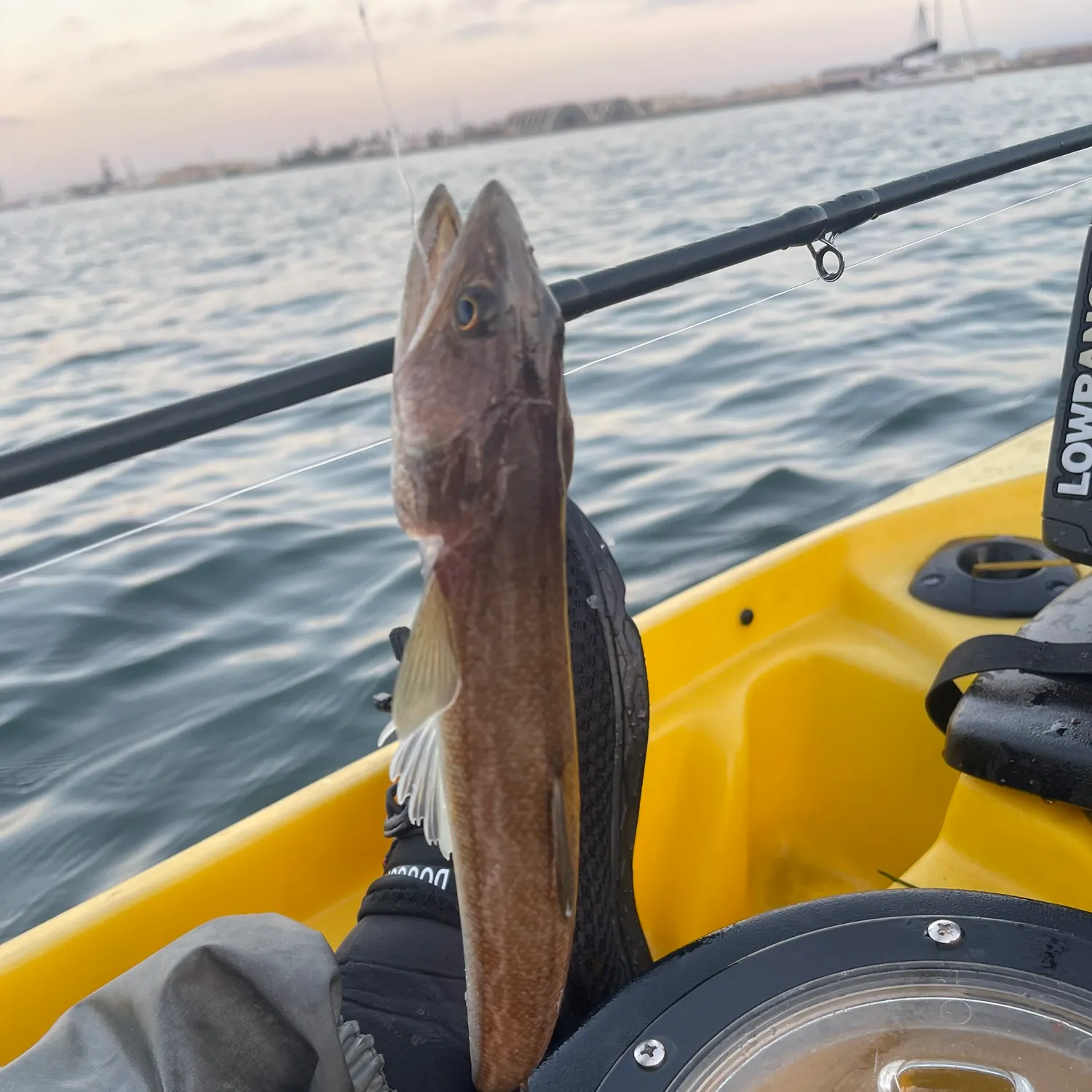most liked catch image