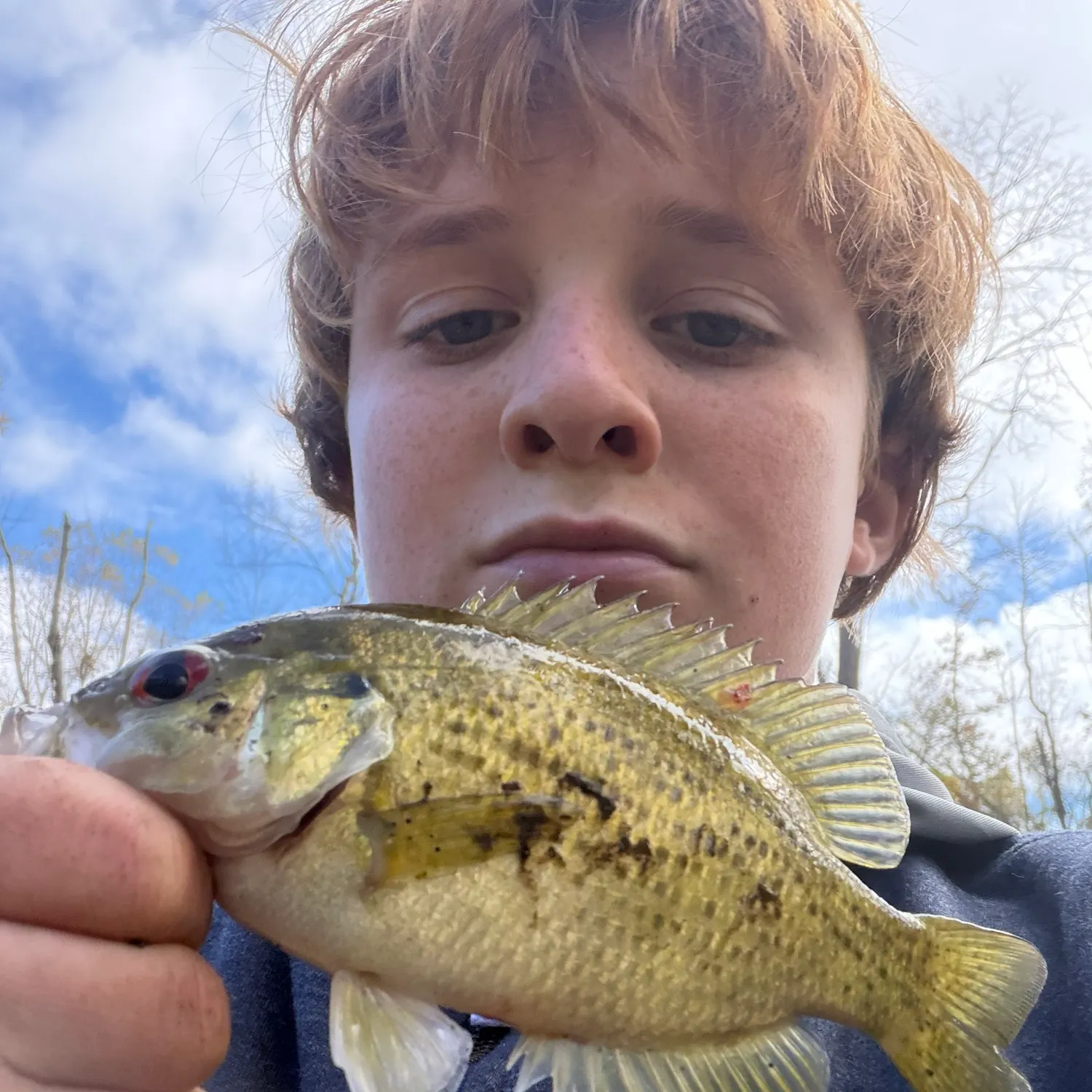 Rock bass caught on Fishbrain