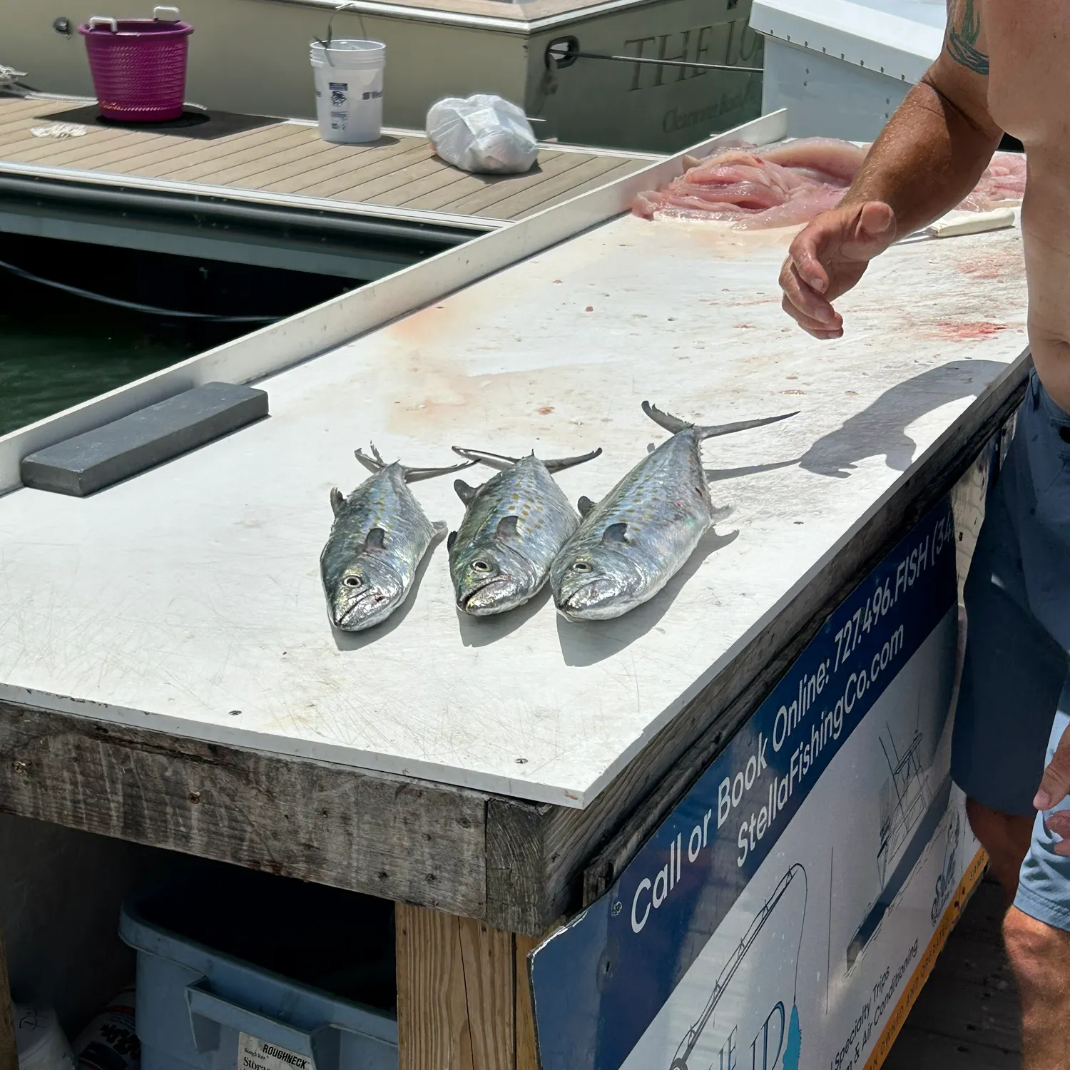 recently logged catches