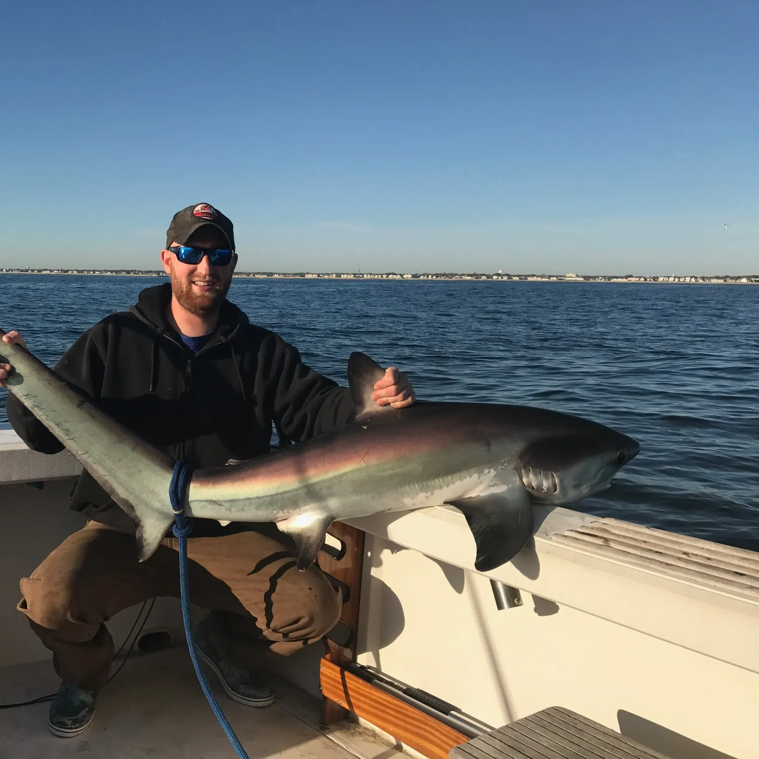 The most recent Common thresher catches on Fishbrain