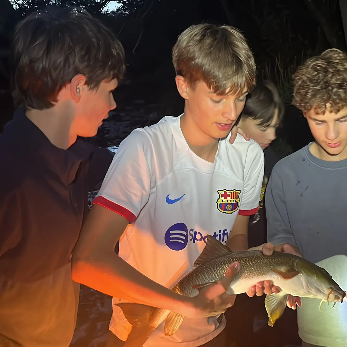 The most recent Common barbel catches on Fishbrain