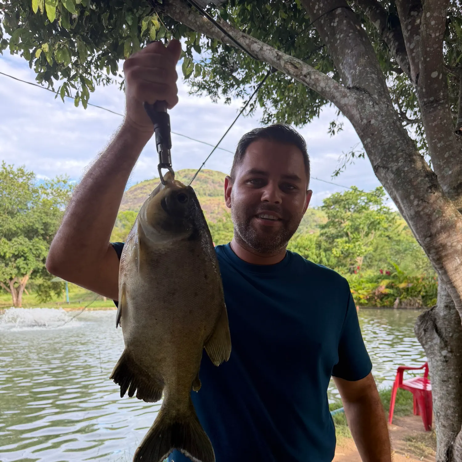 The most recent Tambacu catches on Fishbrain