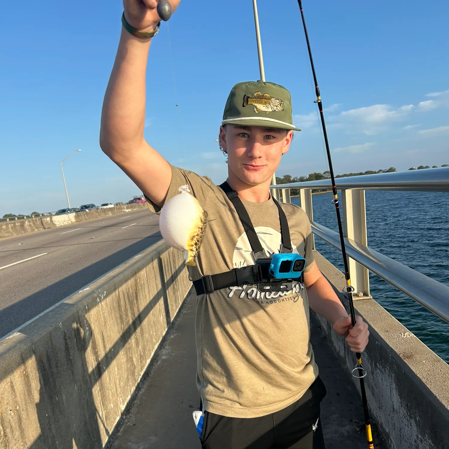 The most recent Spotted green pufferfish catches on Fishbrain