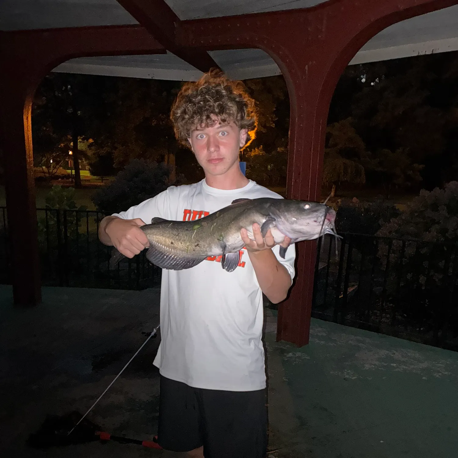 Channel catfish caught on Fishbrain