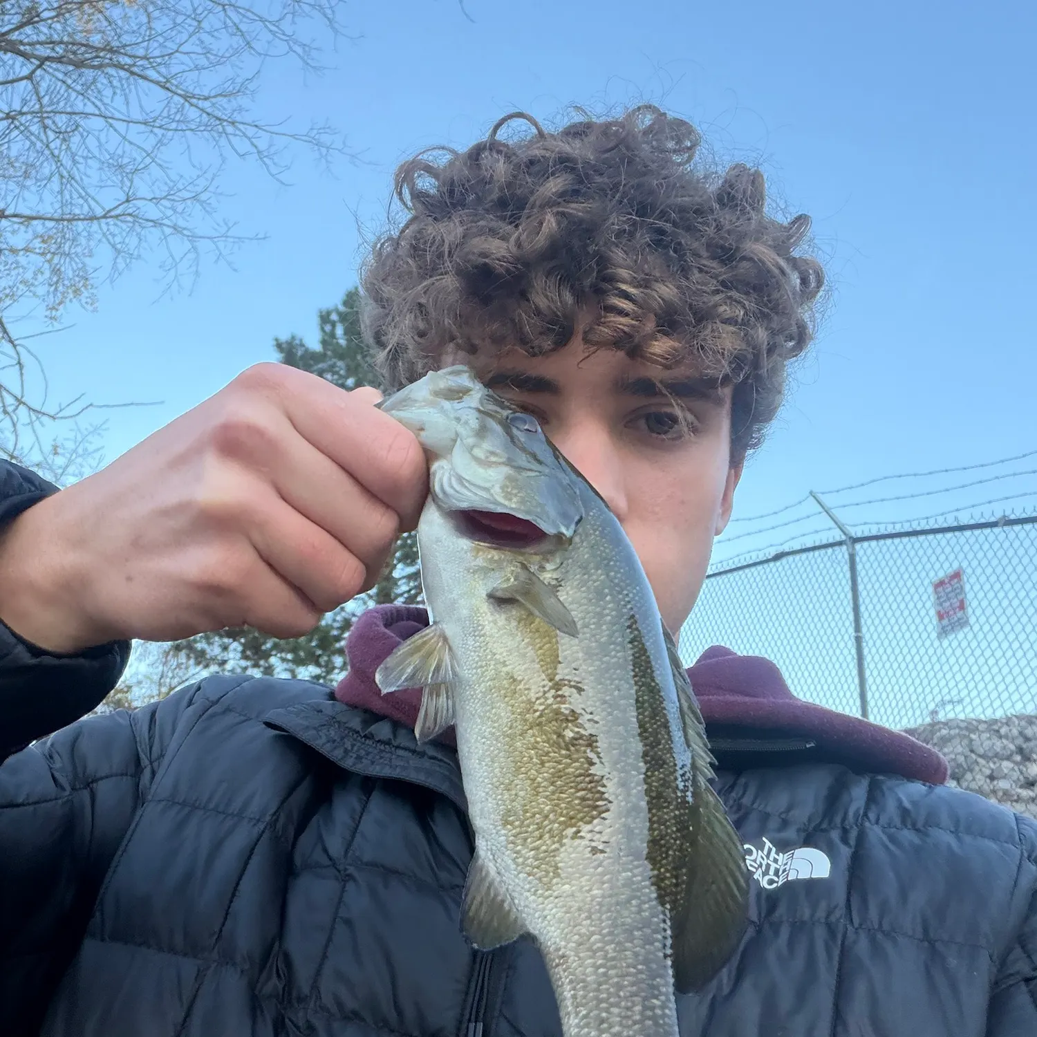 Smallmouth bass caught on Fishbrain