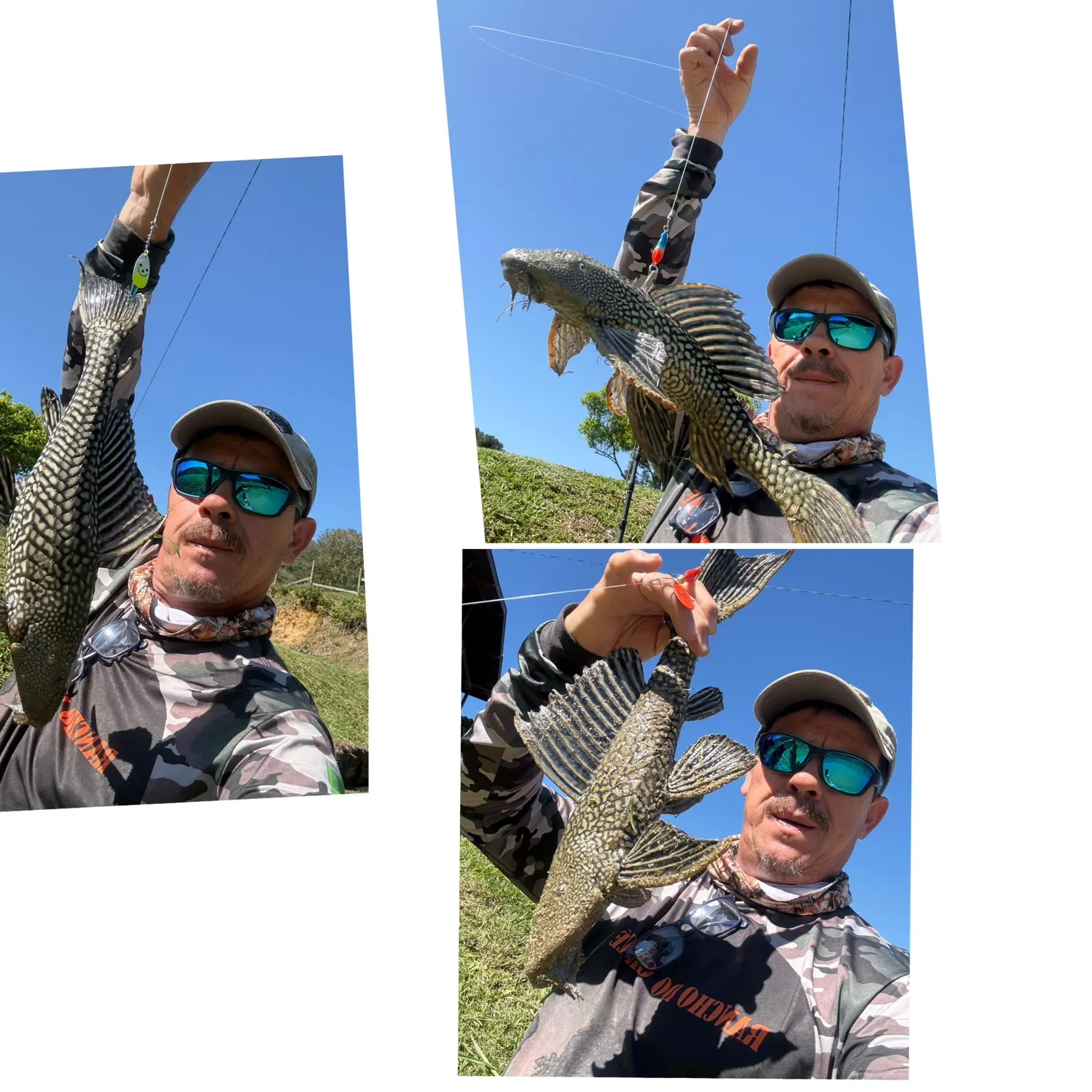 The most recent Snow Pleco catches on Fishbrain