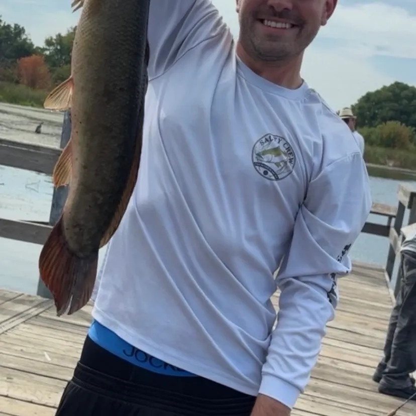The most recent Eyetail bowfin catches on Fishbrain