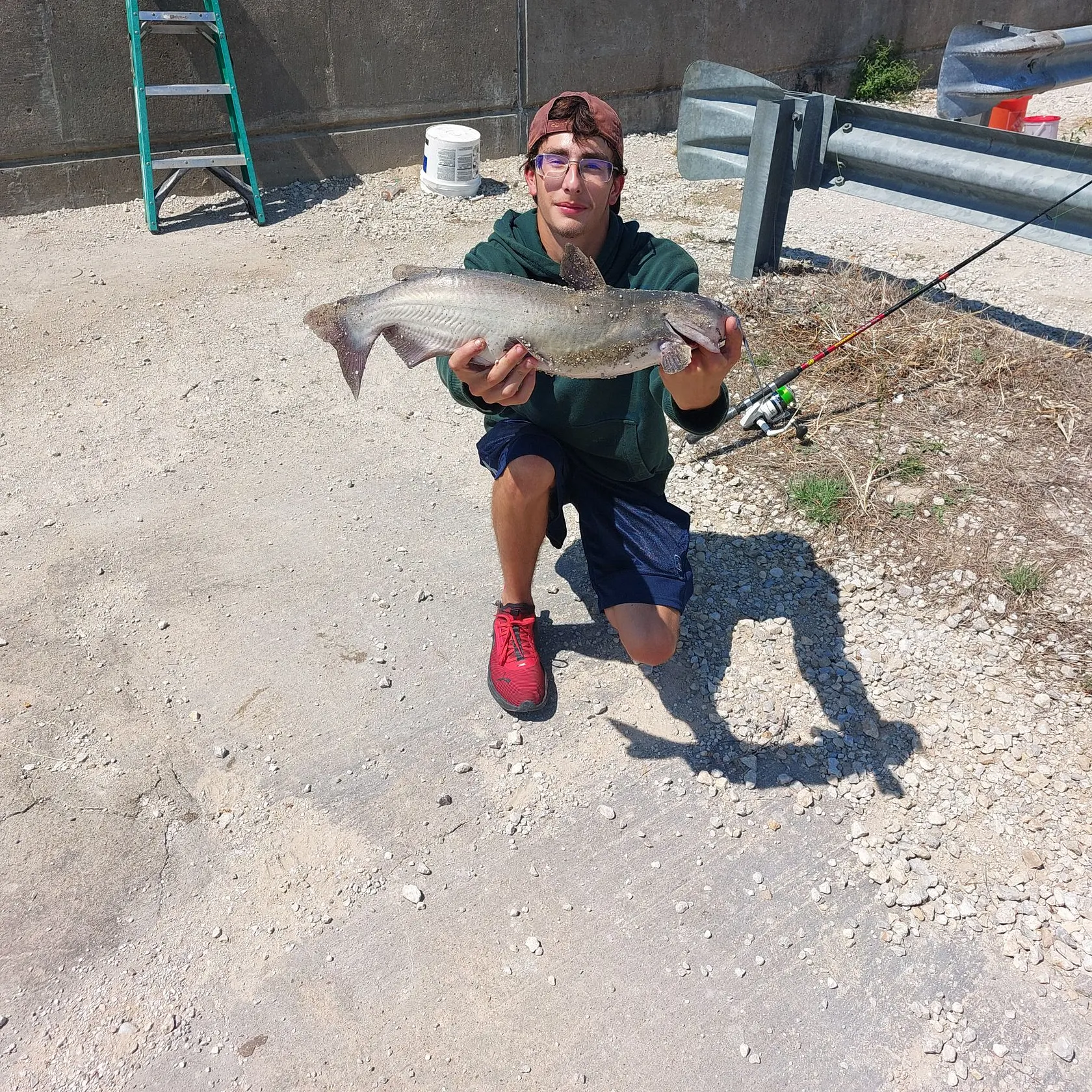 Channel catfish caught on Fishbrain