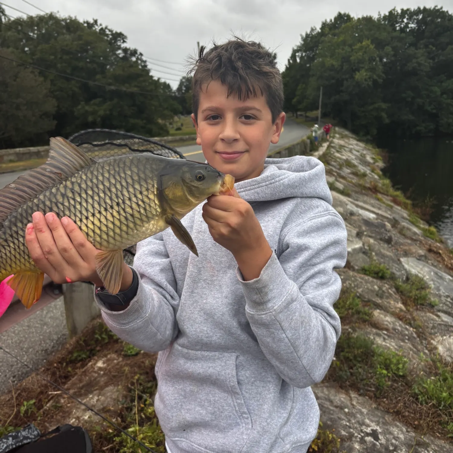 Common carp caught on Fishbrain
