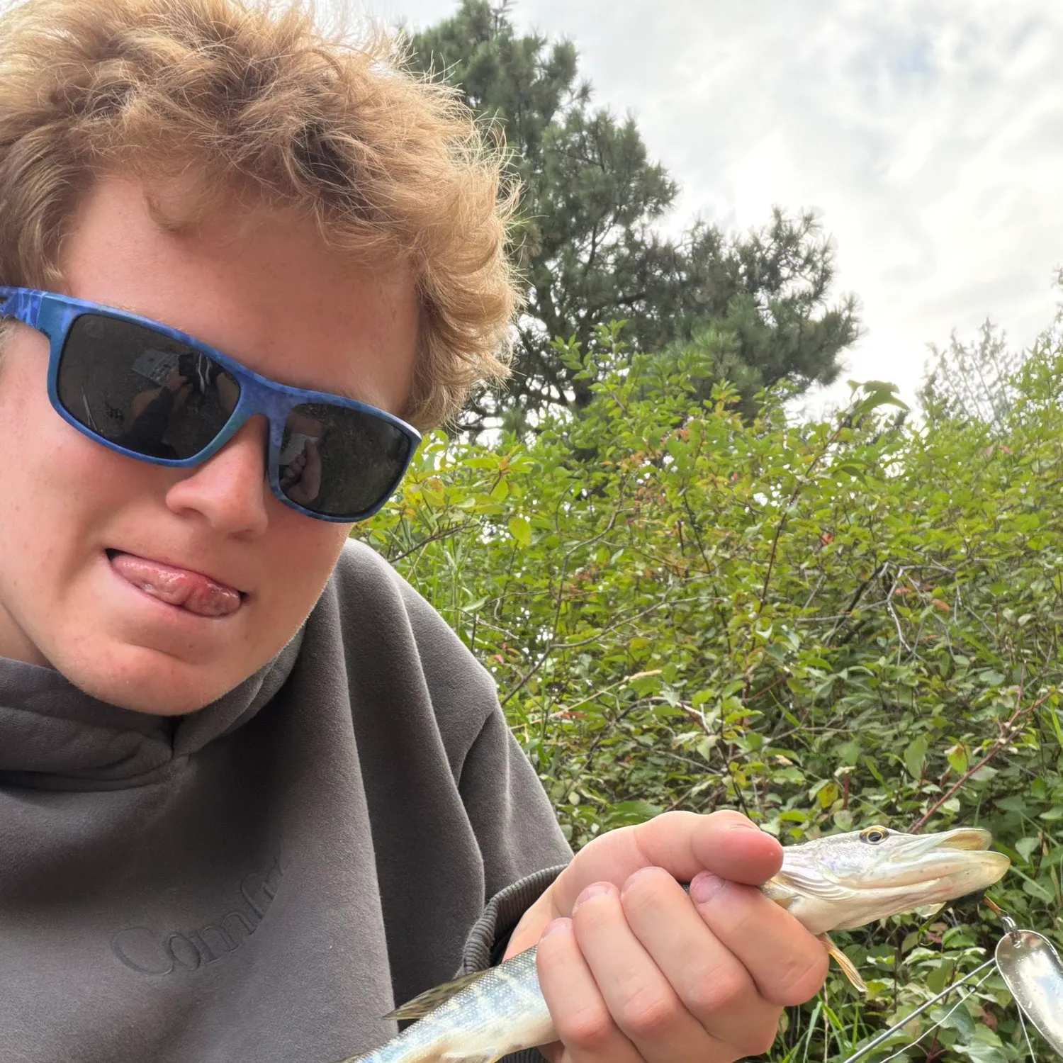 Northern pike caught on Fishbrain