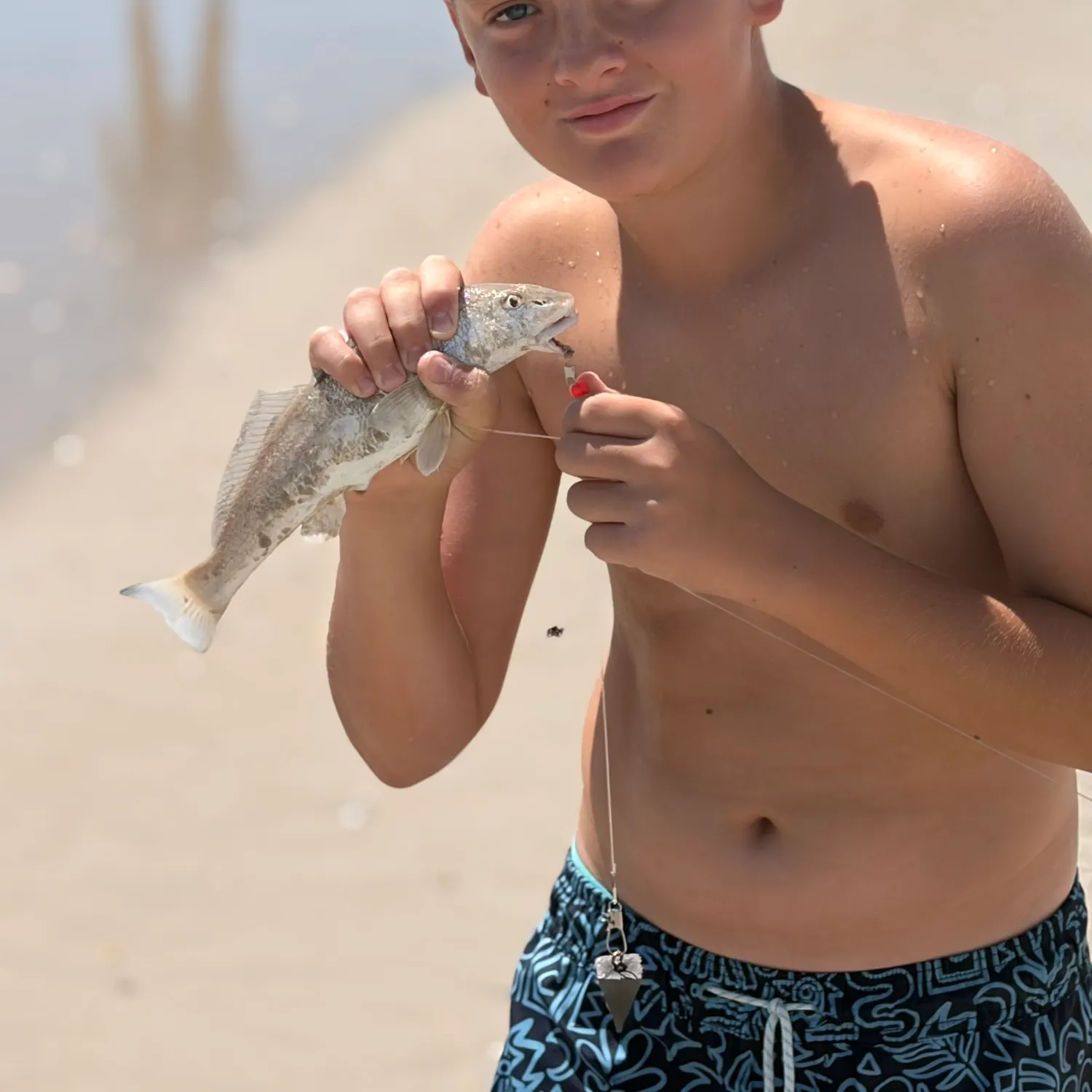Yellow-eye mullet caught on Fishbrain