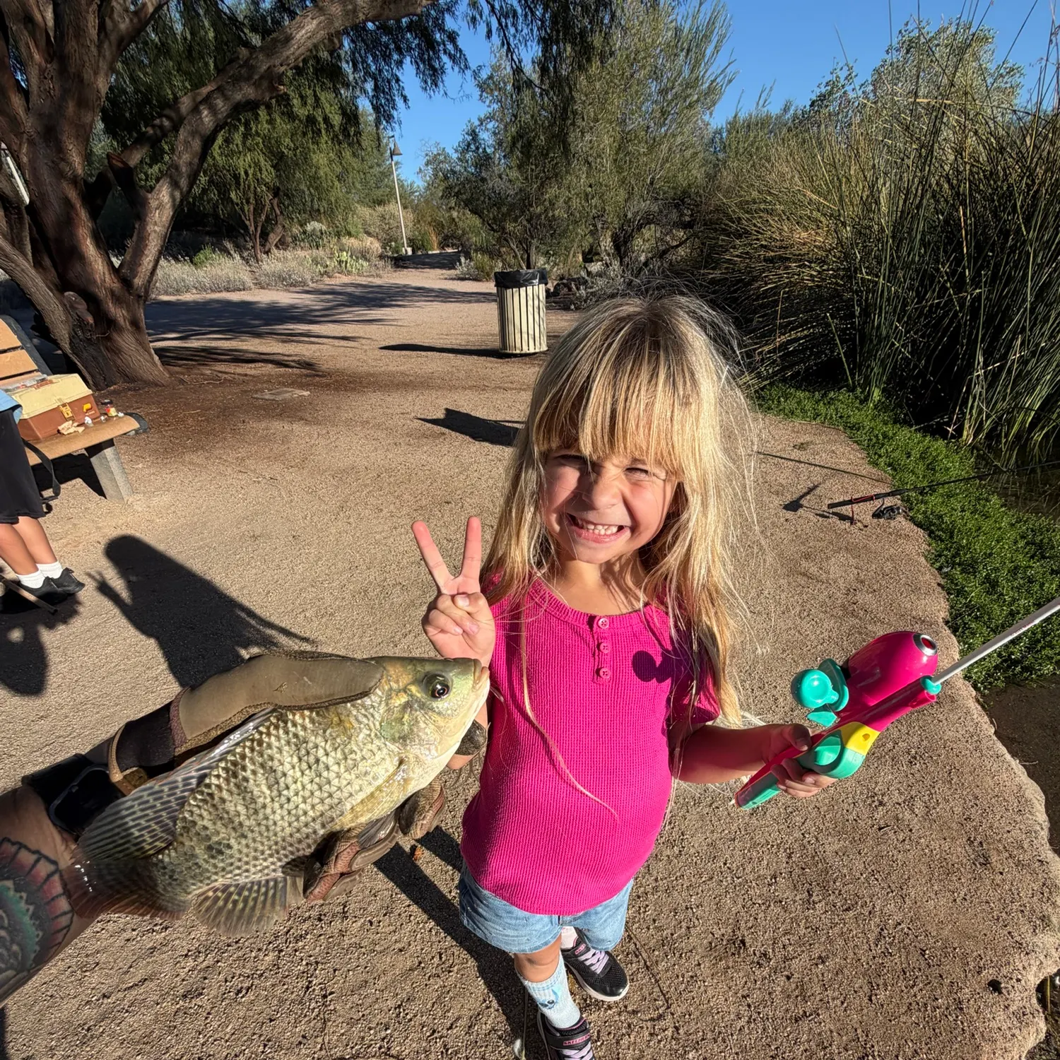 Nile tilapia caught on Fishbrain
