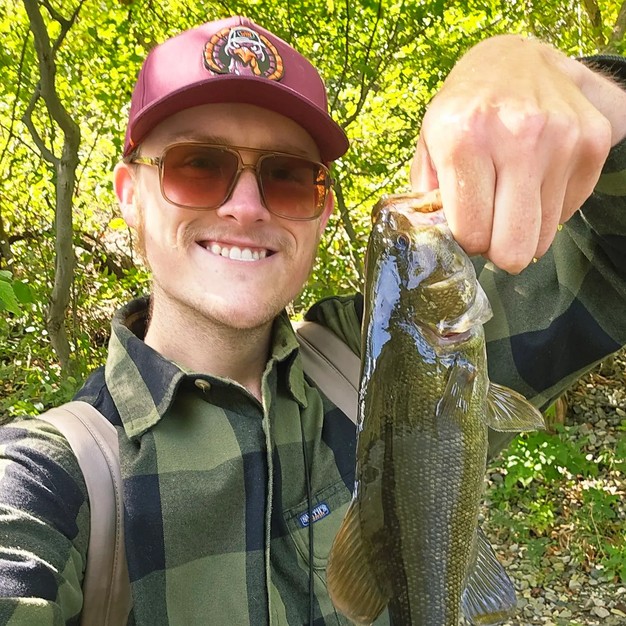 Smallmouth bass caught on Fishbrain