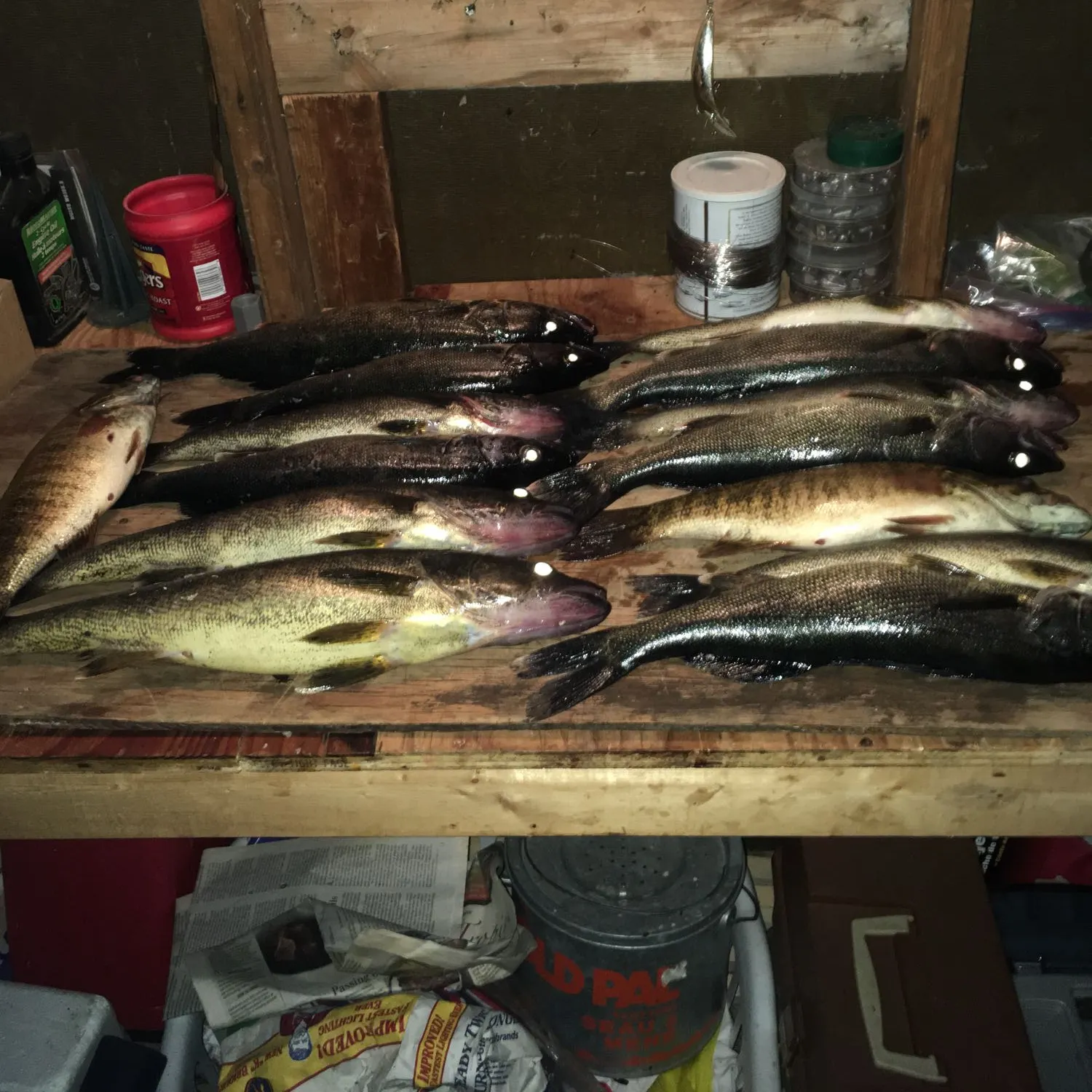 recently logged catches