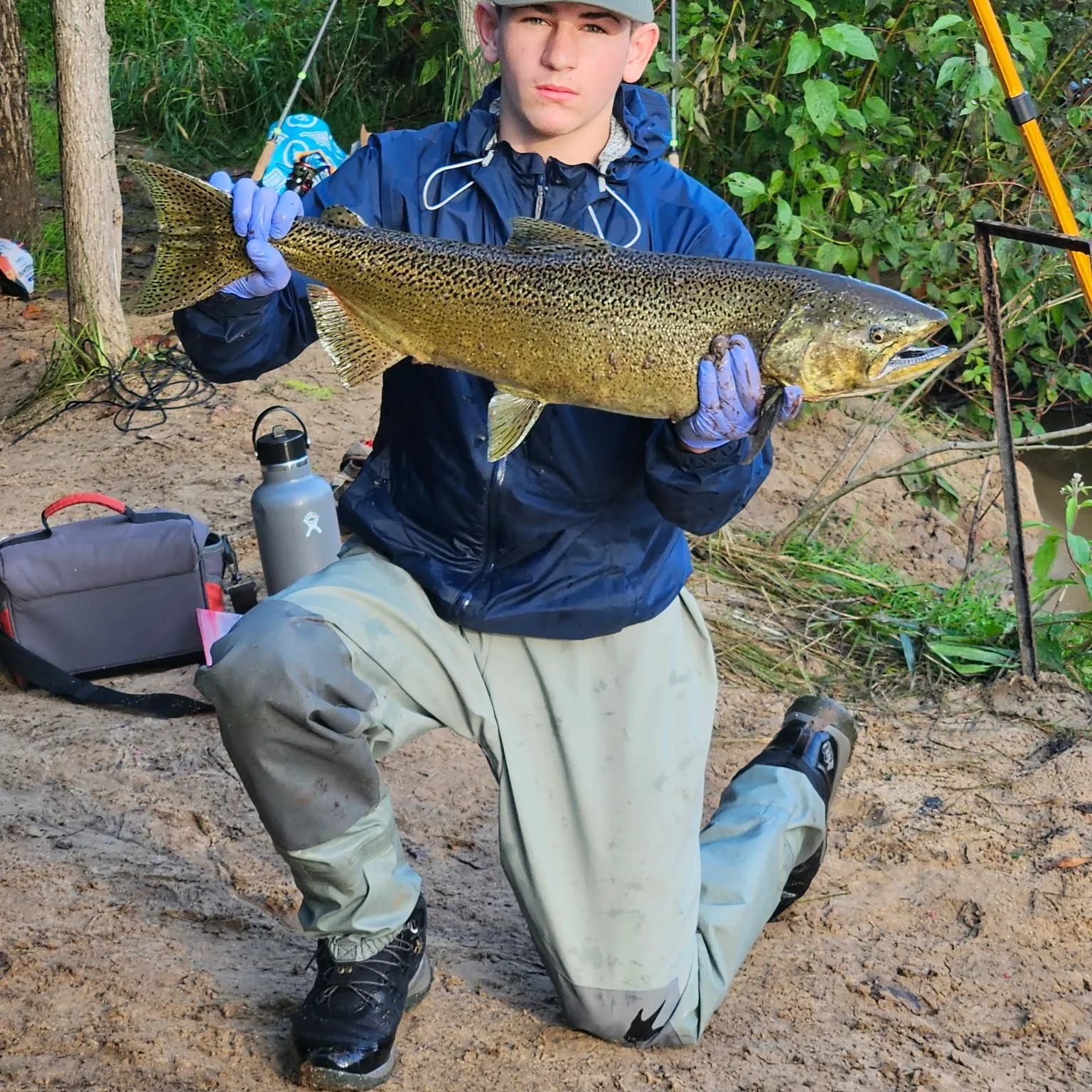 Chinook salmon caught on Fishbrain
