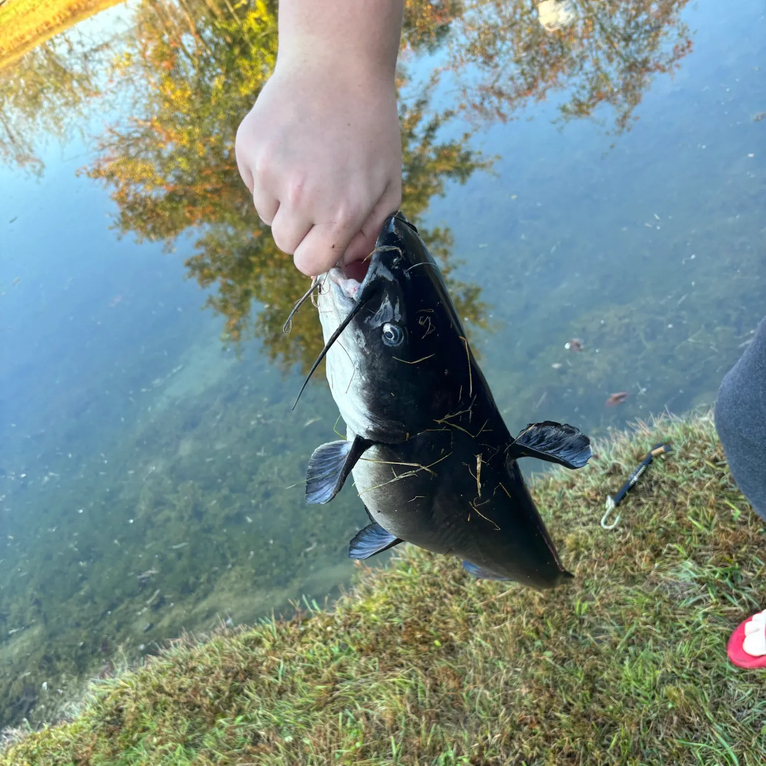 catch