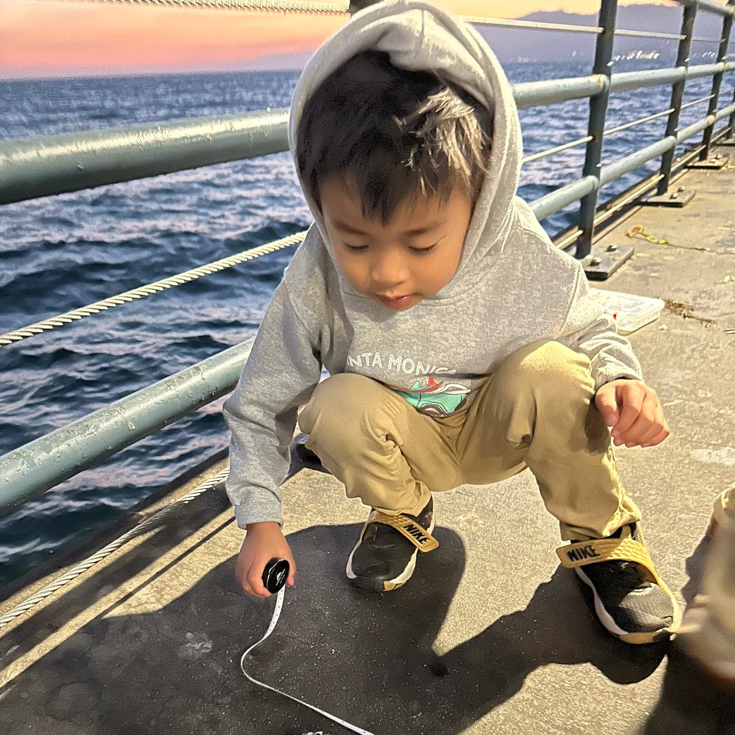 The most recent Californian salema catches on Fishbrain