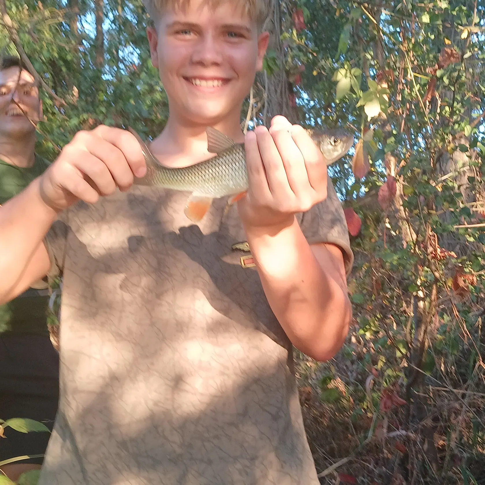 European chub caught on Fishbrain