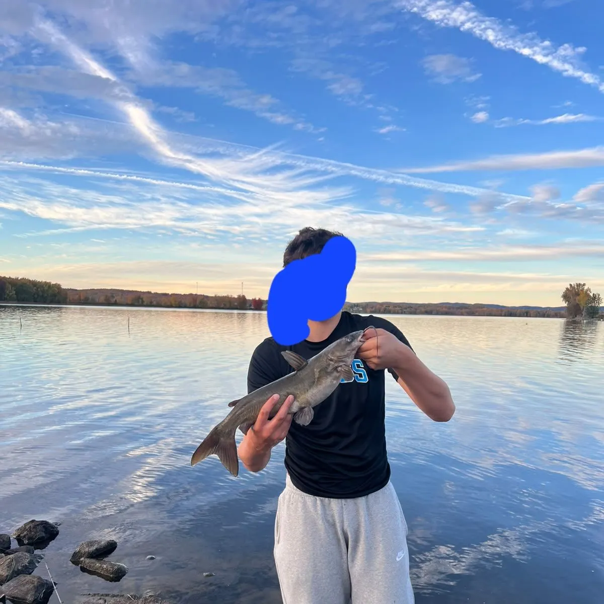 Channel catfish caught on Fishbrain