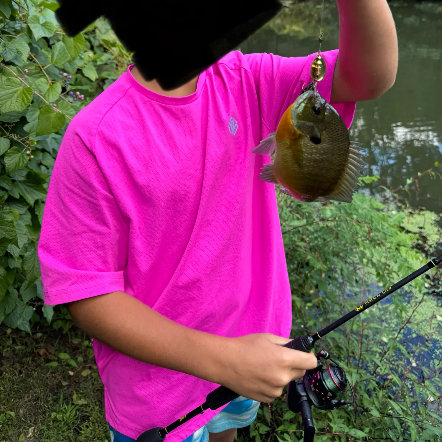 Bluegill caught on Fishbrain