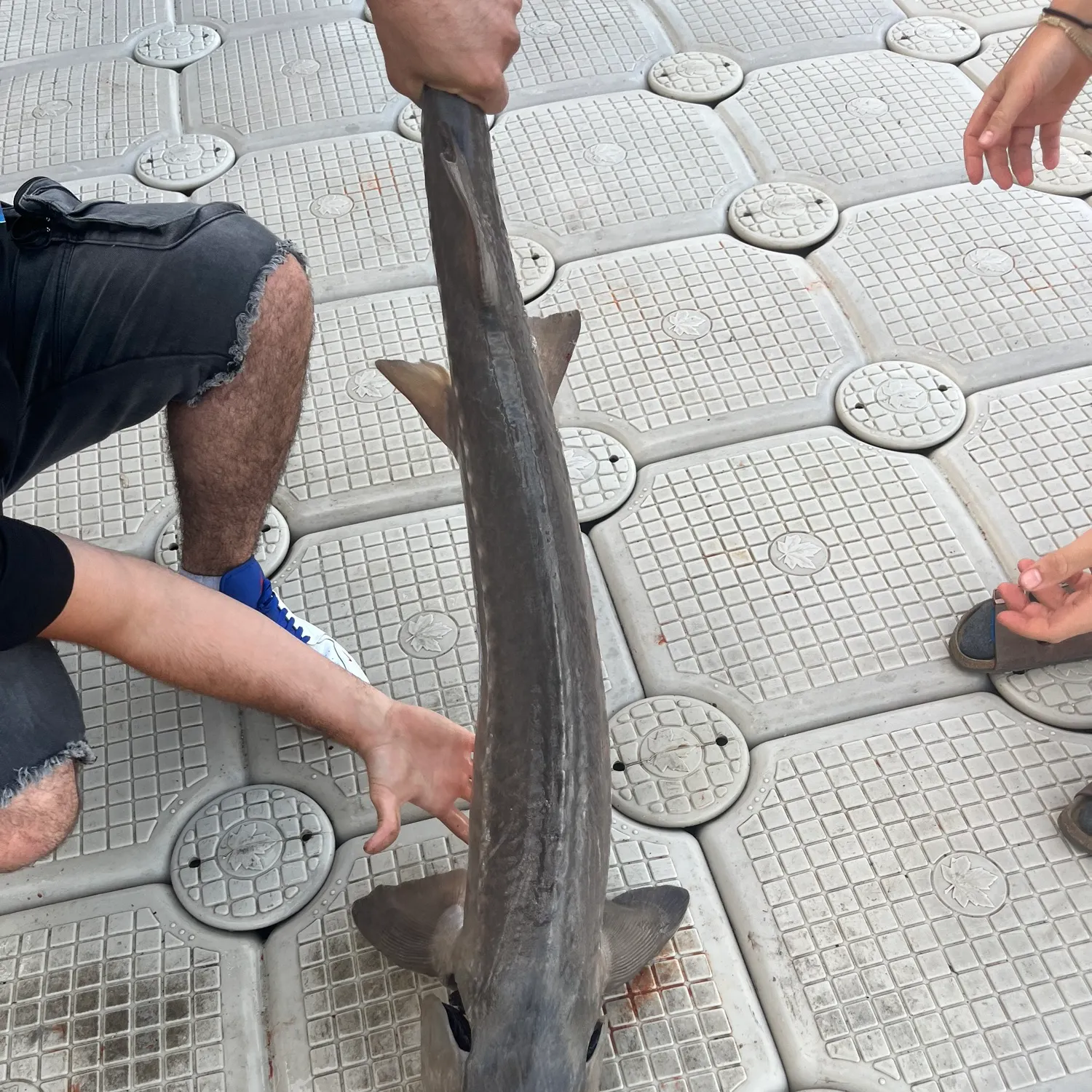 catch