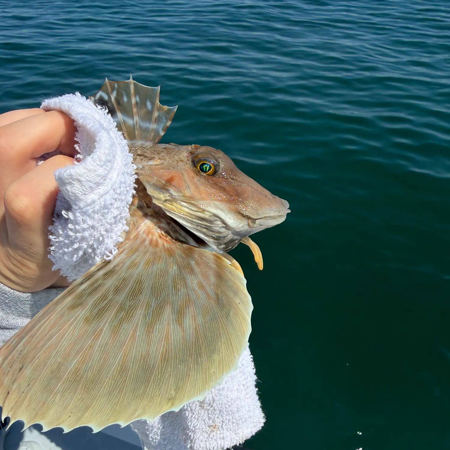 catch