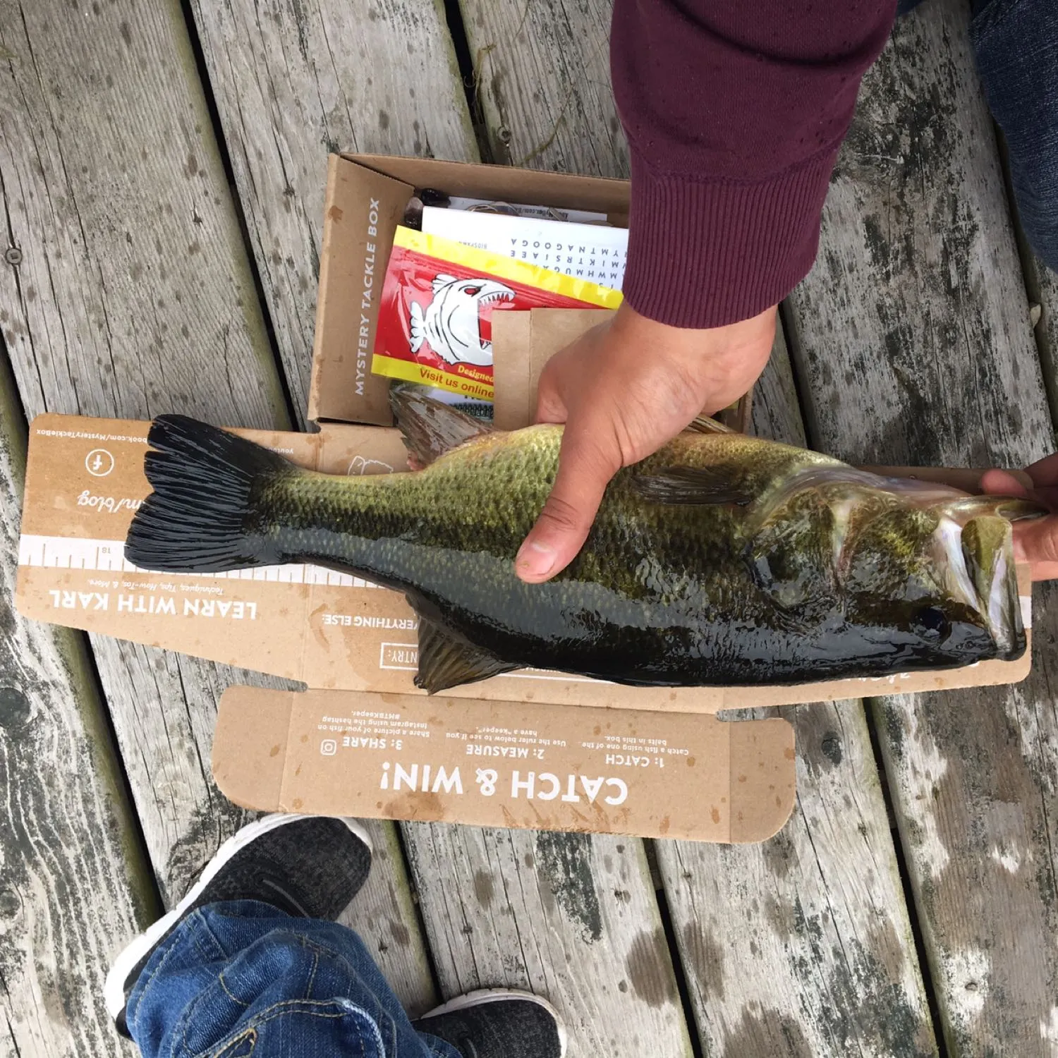 recently logged catches