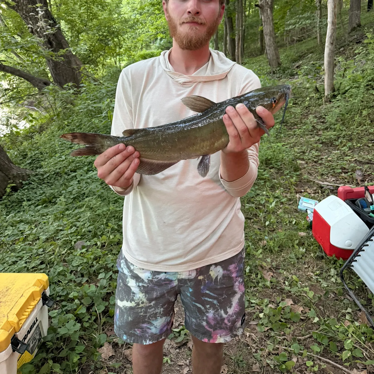 catch