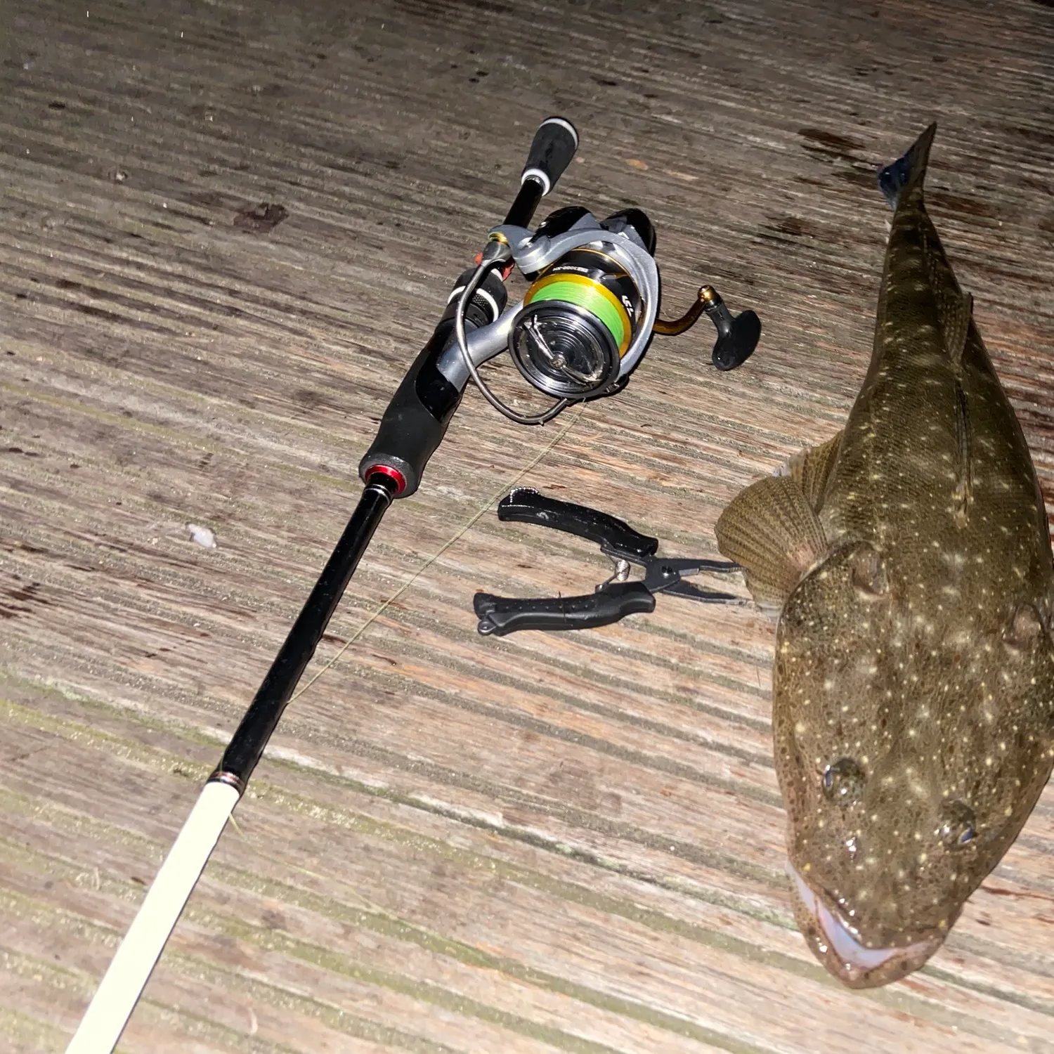 recently logged catches