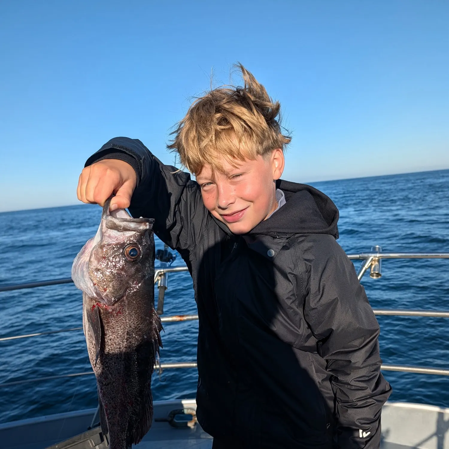 Black rockfish caught on Fishbrain