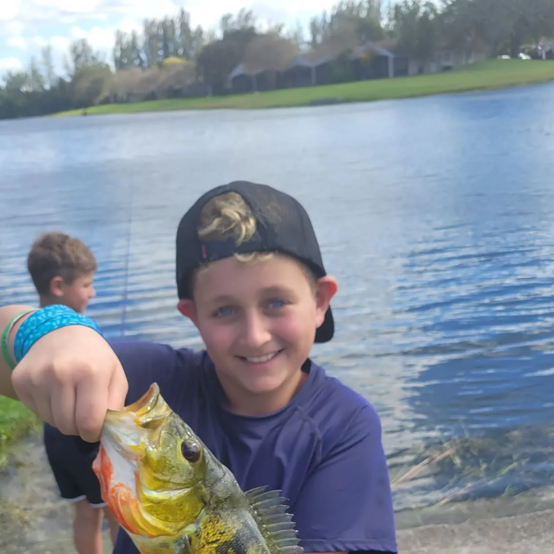 Butterfly peacock bass caught on Fishbrain