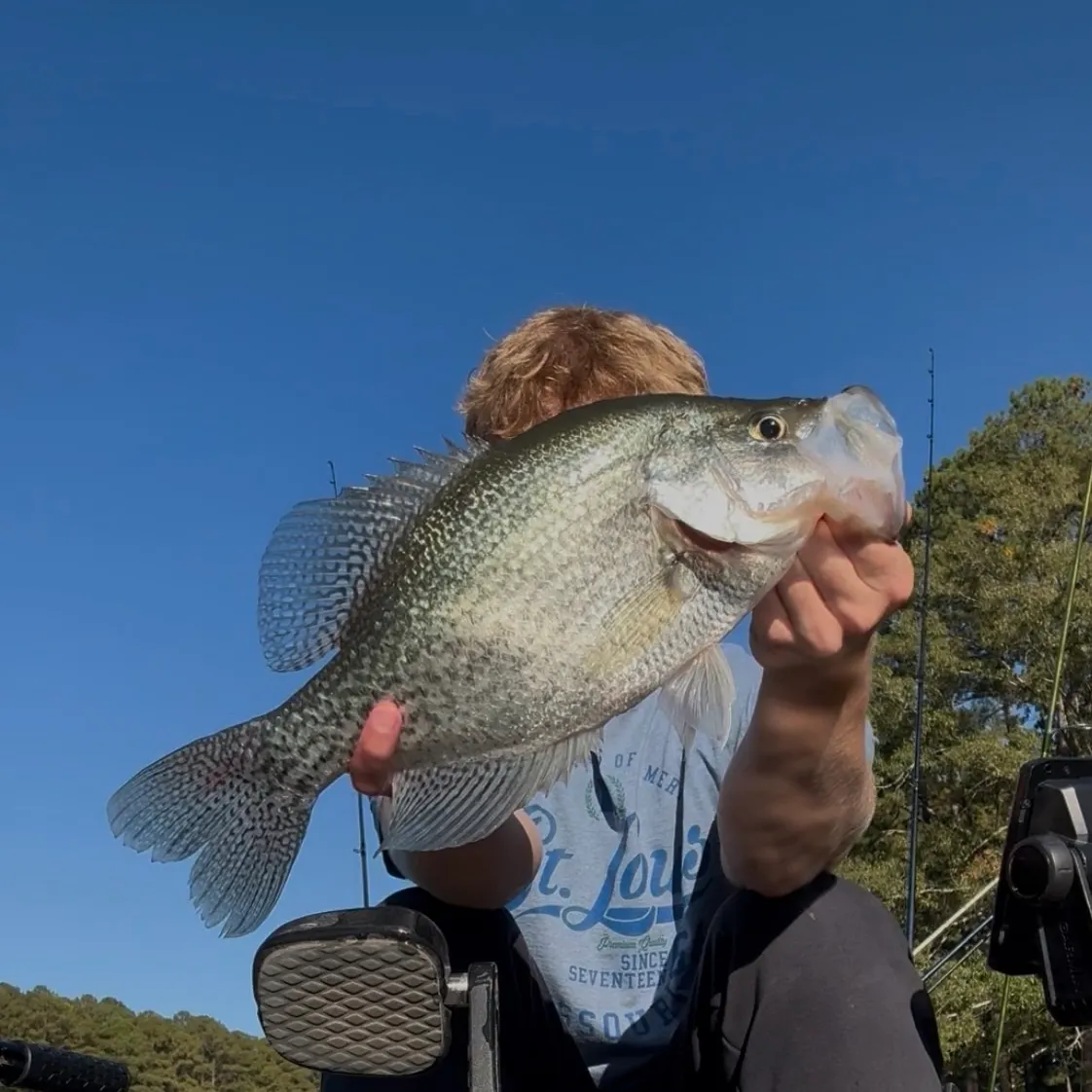 Black crappie caught on Fishbrain