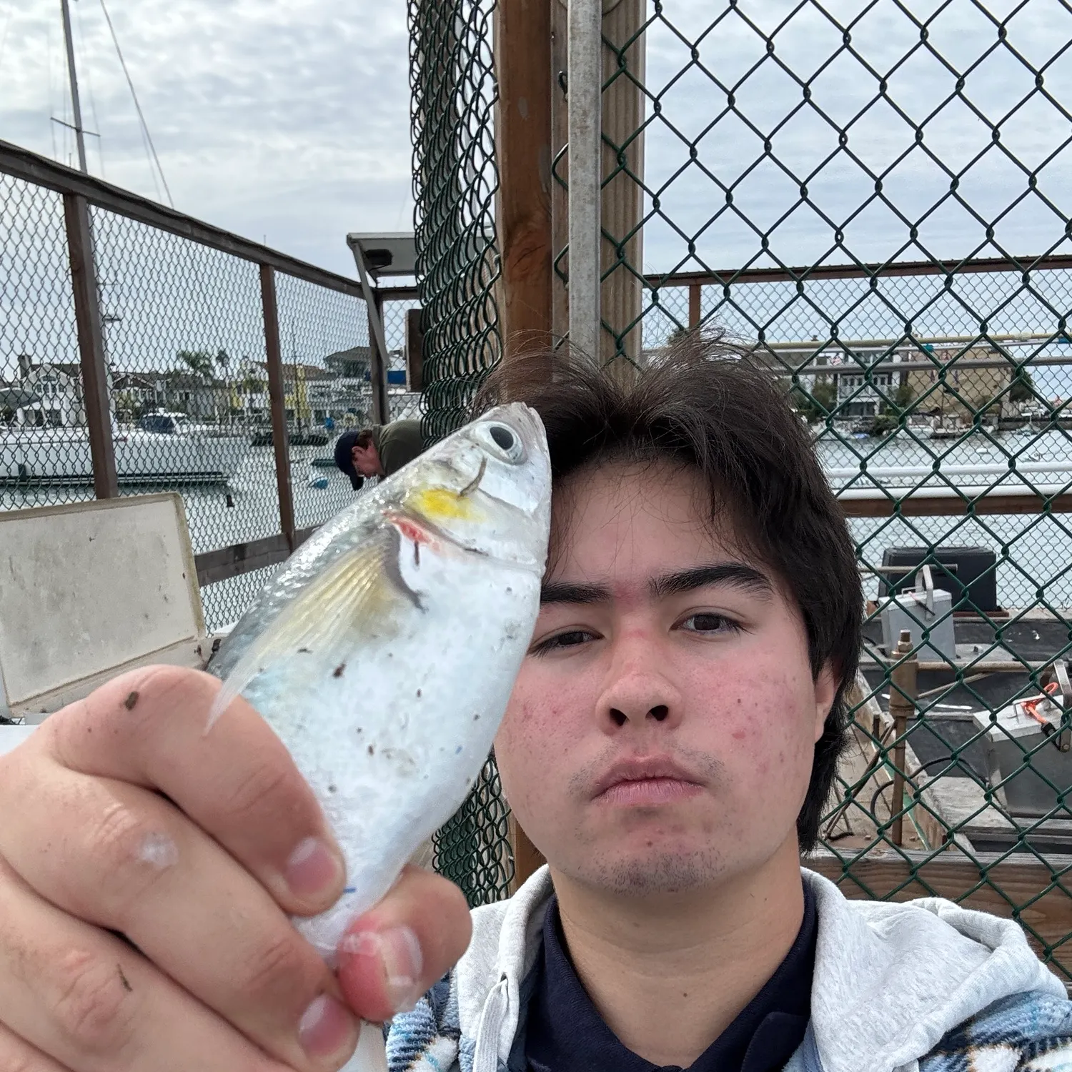 Jack smelt caught on Fishbrain