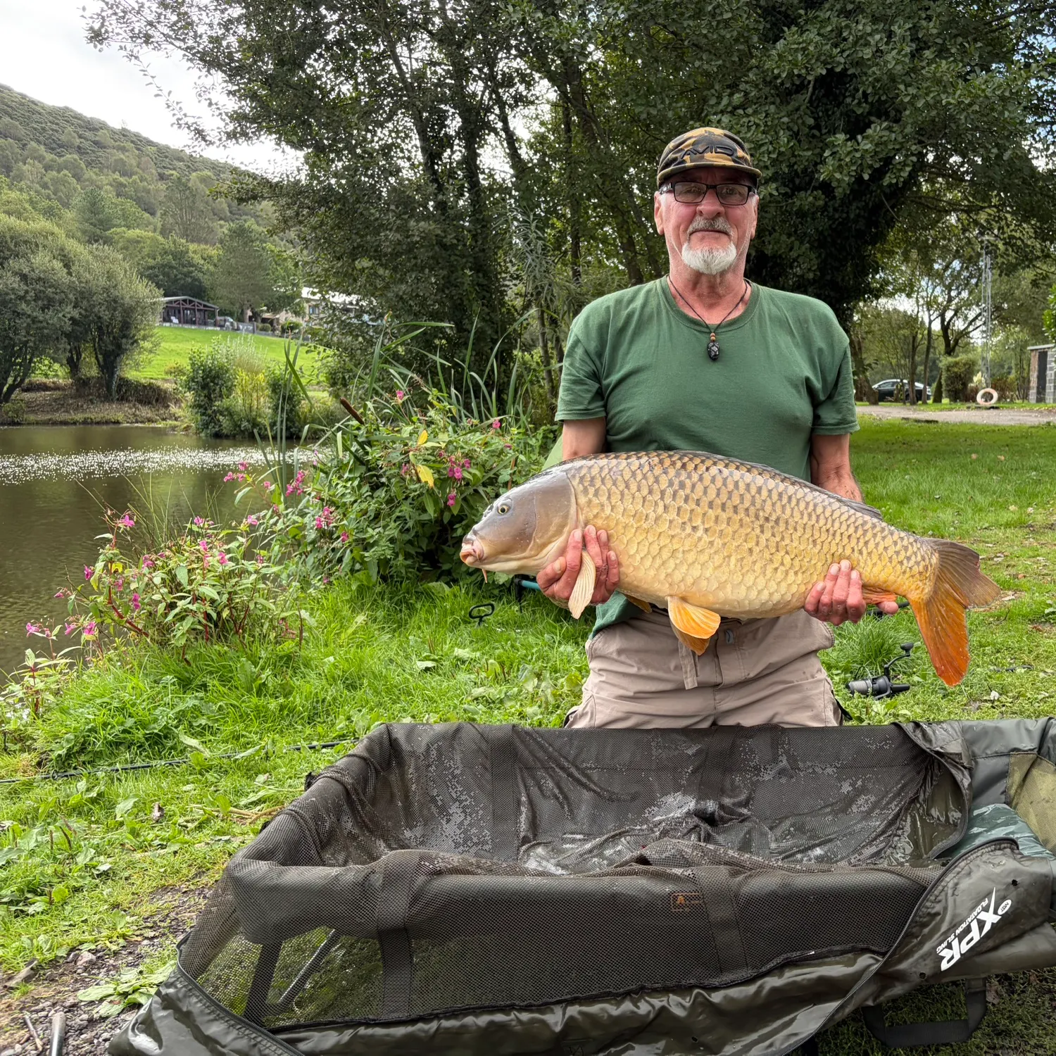 Common carp caught on Fishbrain