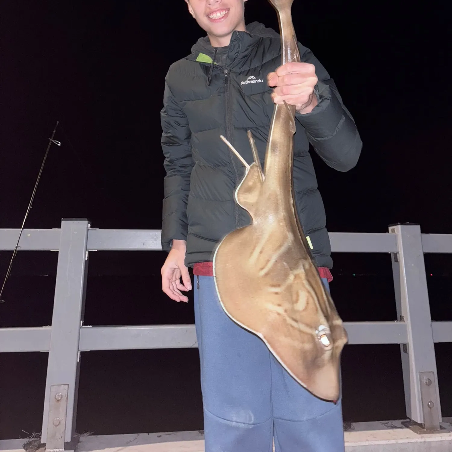 Southern fiddler caught on Fishbrain