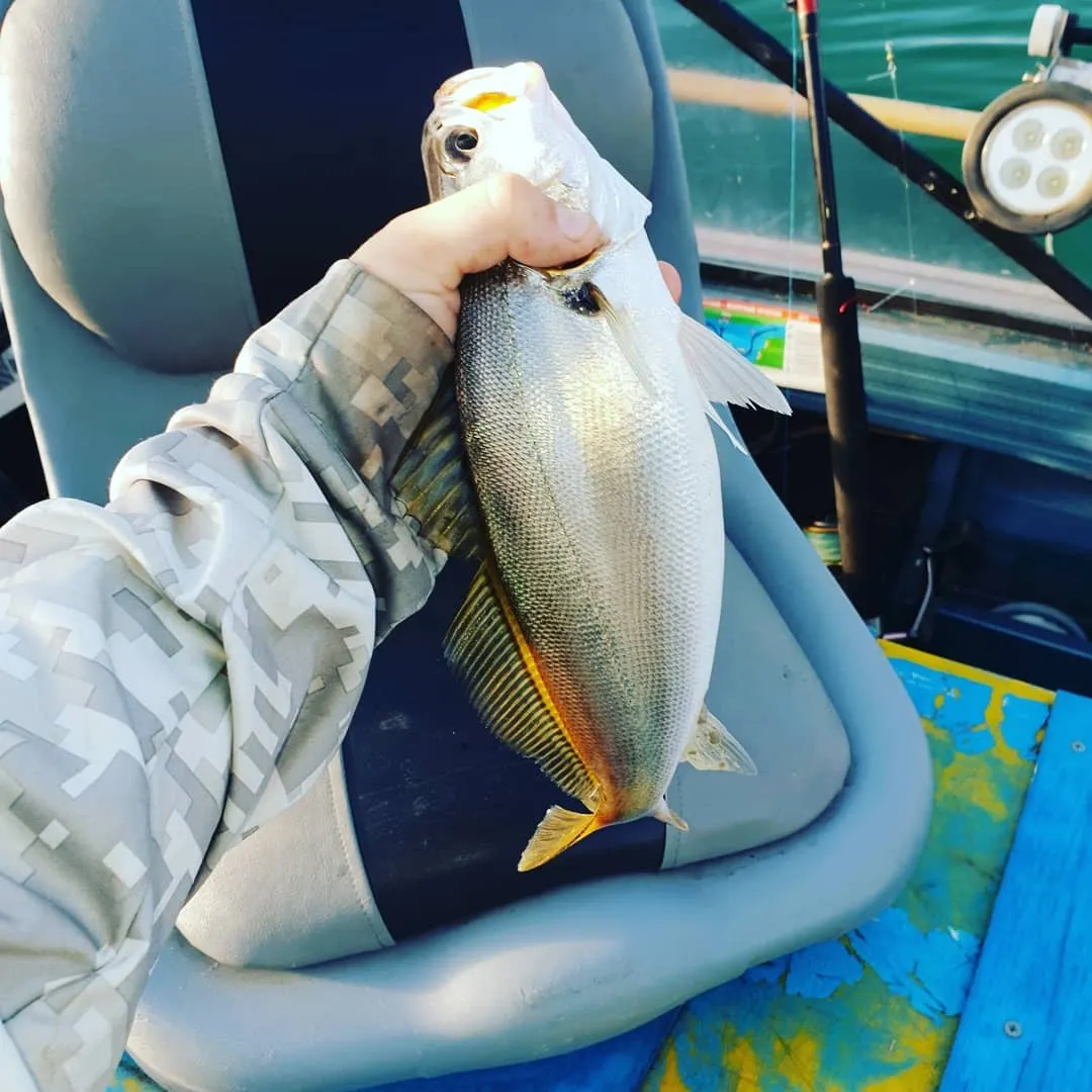 Post image from jackmusson