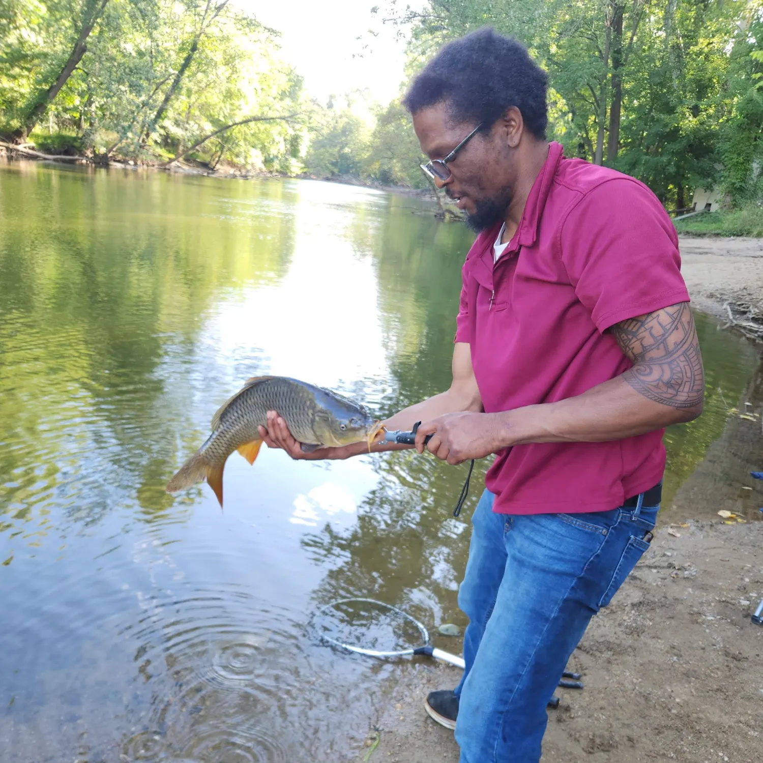 Common carp caught on Fishbrain
