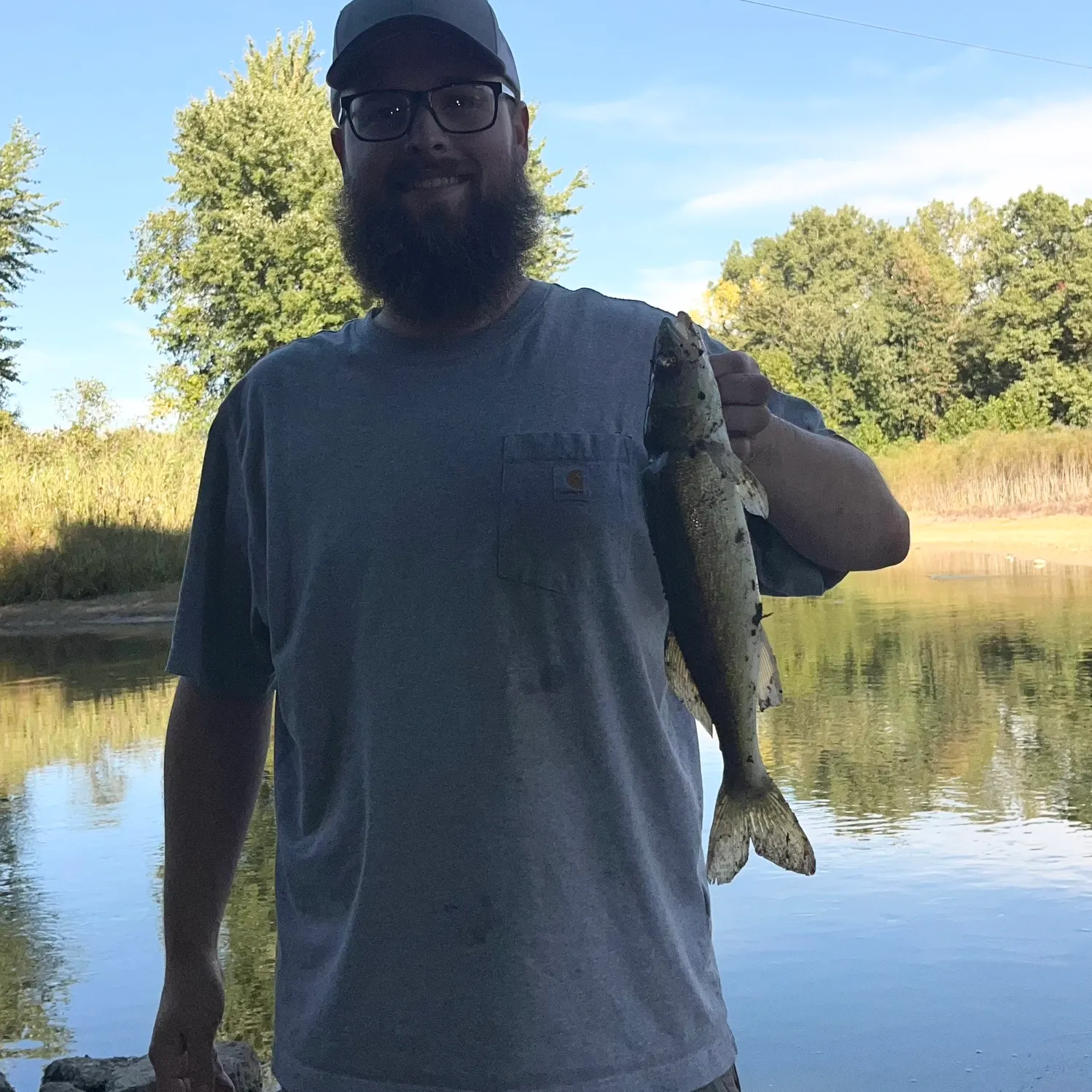 Walleye caught on Fishbrain
