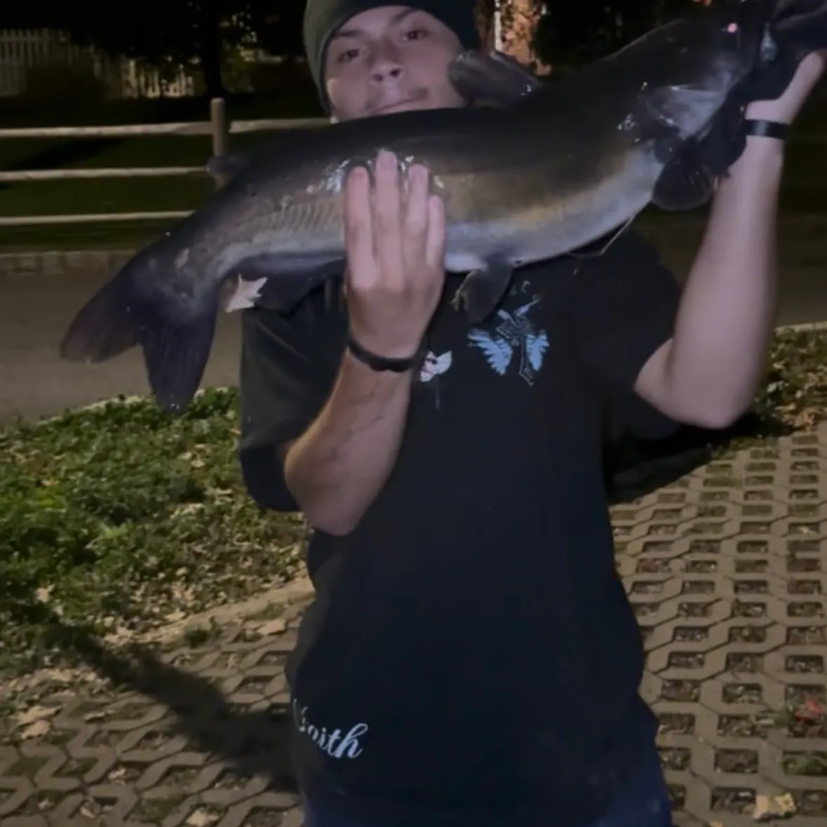 Channel catfish caught on Fishbrain