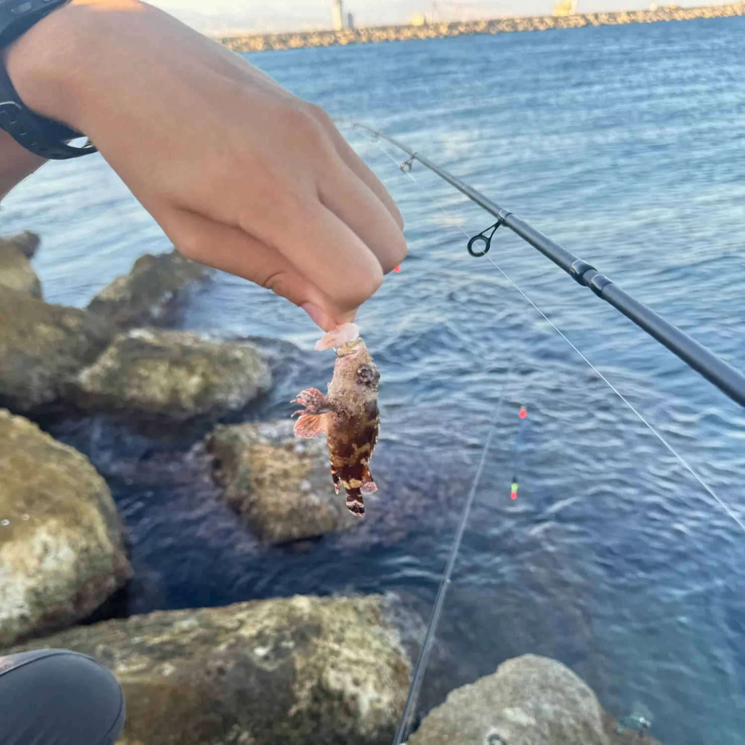 catch