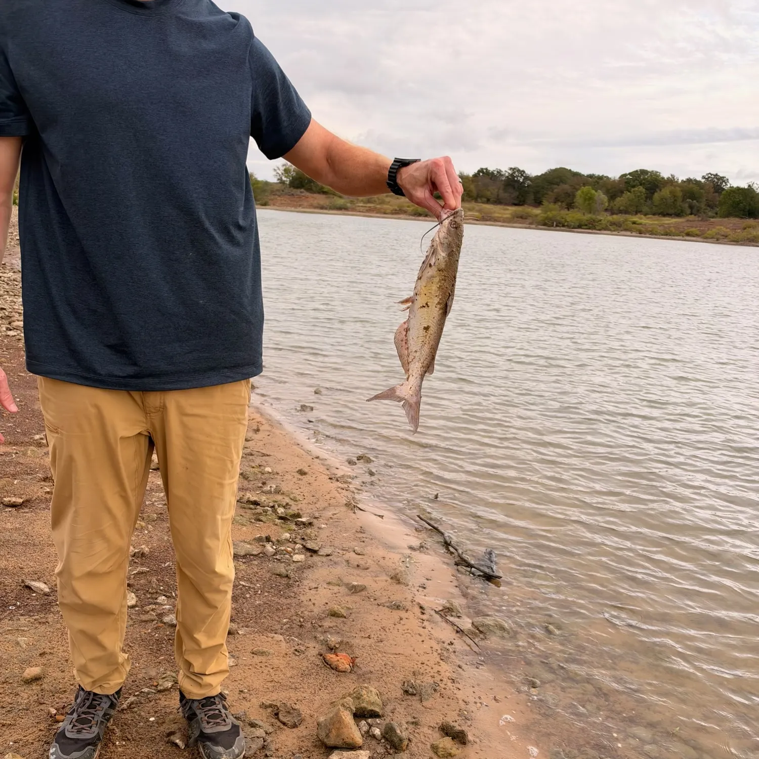 Fish caught on Fishbrain